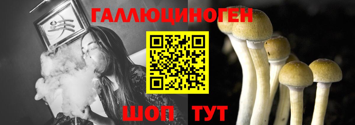 Псилоцибиновые грибы прущие грибы  Вход с VPN  Анжеро-Судженск 